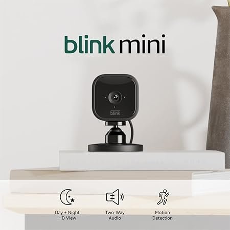 blink mini